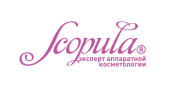 Клиент Компания «Scopula»